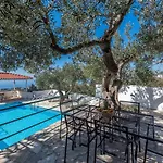 Apartment Glavina With Private Pool